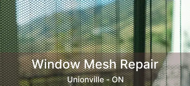  Window Mesh Repair Unionville - ON