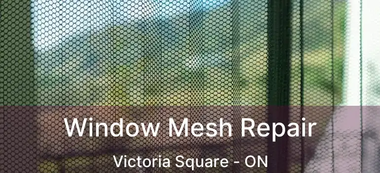  Window Mesh Repair Victoria Square - ON