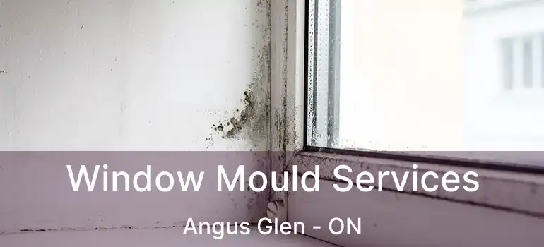  Window Mould Services Angus Glen - ON