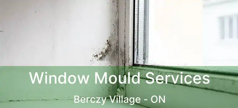  Window Mould Services Berczy Village - ON
