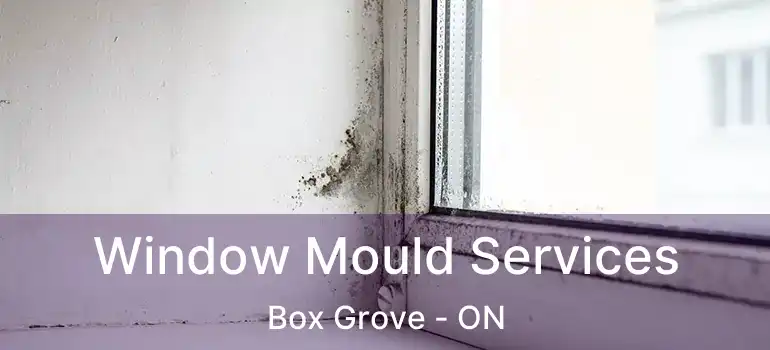  Window Mould Services Box Grove - ON