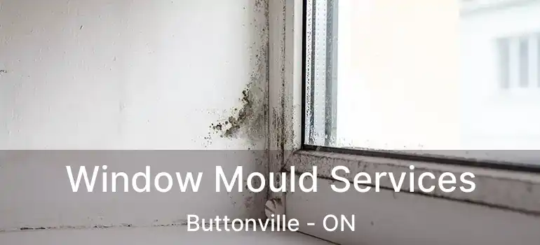  Window Mould Services Buttonville - ON