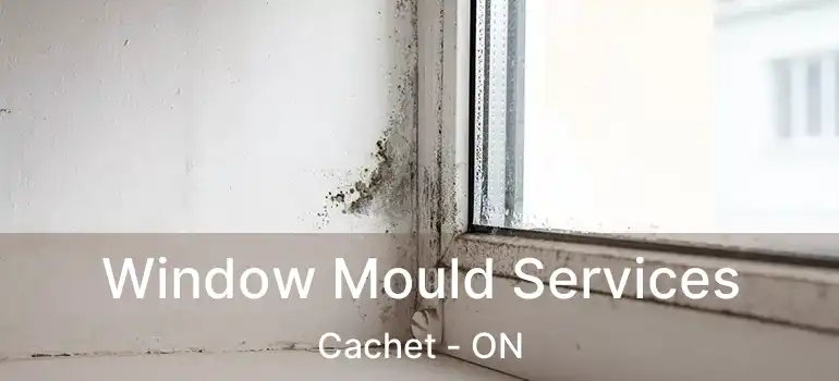  Window Mould Services Cachet - ON