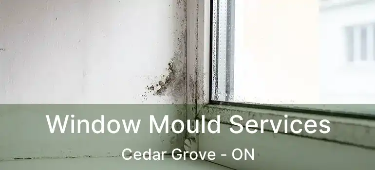  Window Mould Services Cedar Grove - ON