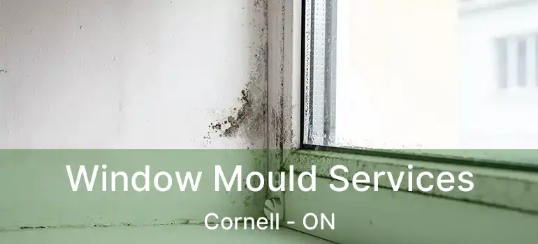  Window Mould Services Cornell - ON