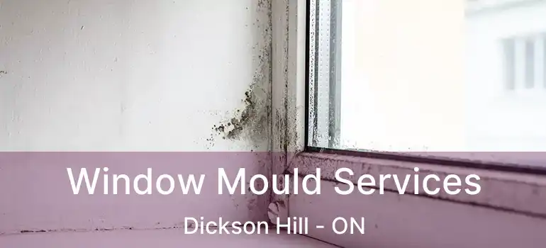  Window Mould Services Dickson Hill - ON