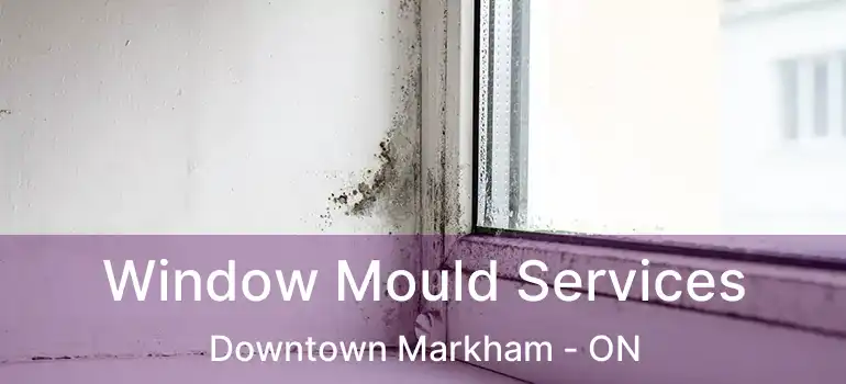  Window Mould Services Downtown Markham - ON