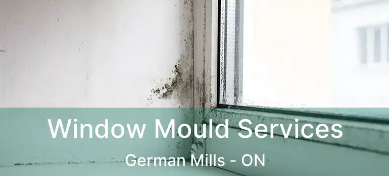  Window Mould Services German Mills - ON