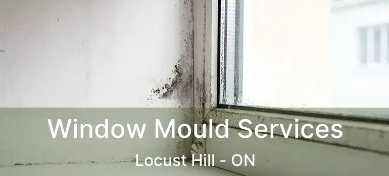  Window Mould Services Locust Hill - ON