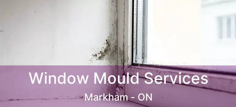  Window Mould Services Markham - ON
