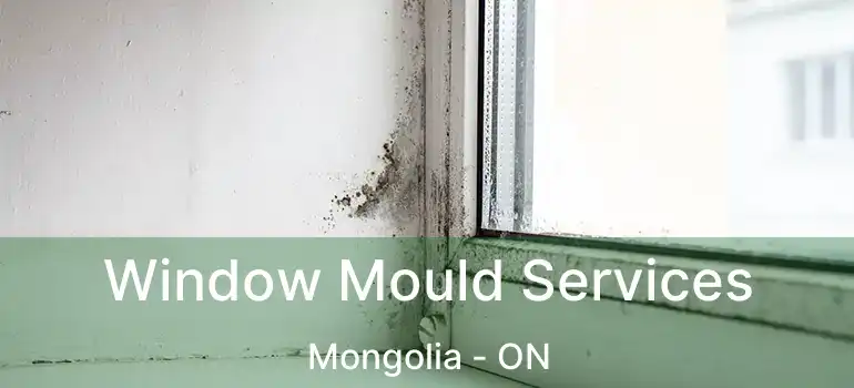  Window Mould Services Mongolia - ON