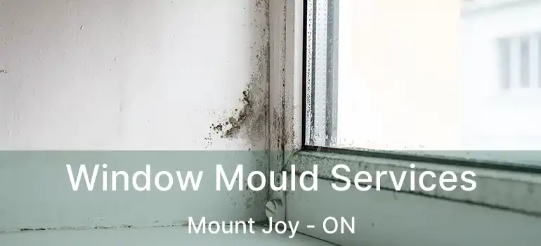  Window Mould Services Mount Joy - ON