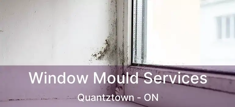  Window Mould Services Quantztown - ON