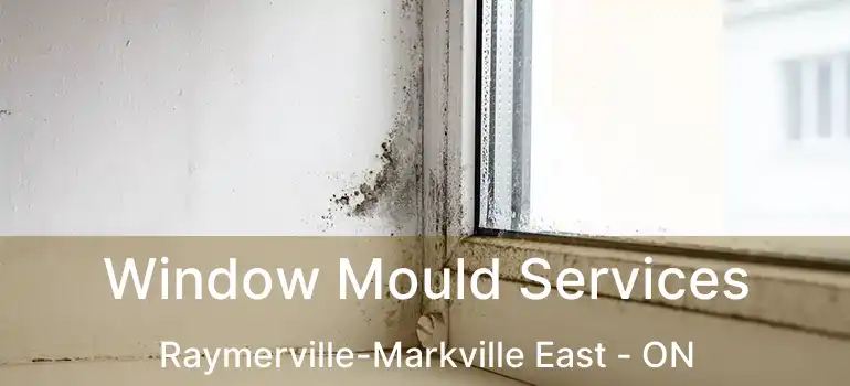  Window Mould Services Raymerville-Markville East - ON