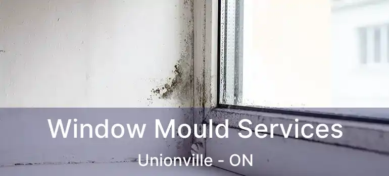  Window Mould Services Unionville - ON