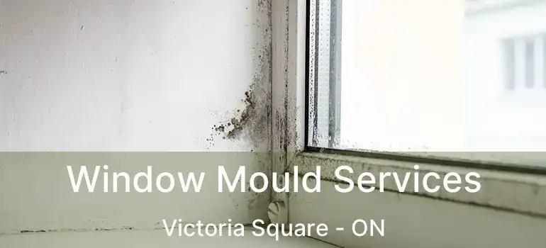  Window Mould Services Victoria Square - ON