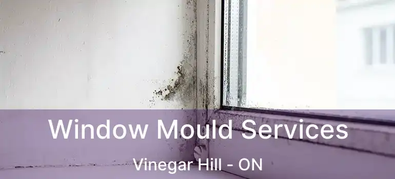  Window Mould Services Vinegar Hill - ON