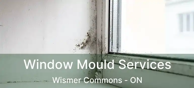  Window Mould Services Wismer Commons - ON