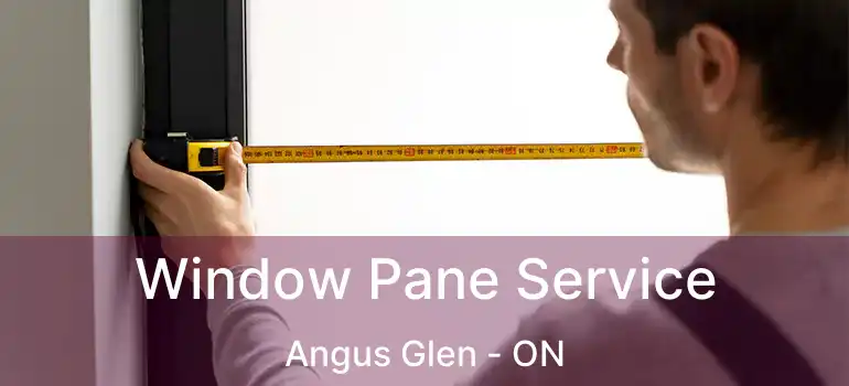  Window Pane Service Angus Glen - ON