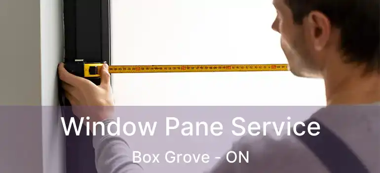  Window Pane Service Box Grove - ON