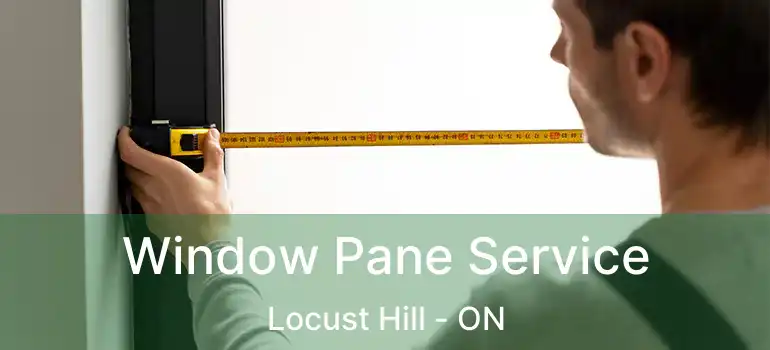  Window Pane Service Locust Hill - ON