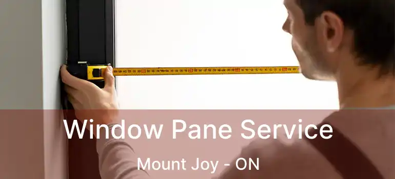  Window Pane Service Mount Joy - ON