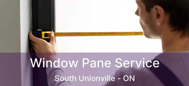  Window Pane Service South Unionville - ON