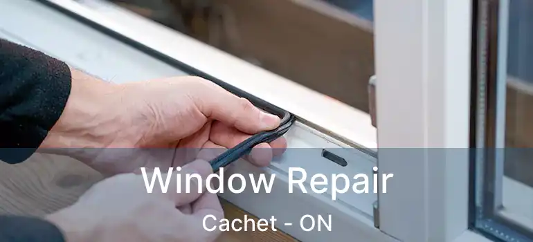  Window Repair Cachet - ON