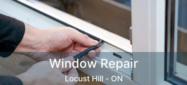  Window Repair Locust Hill - ON