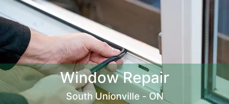  Window Repair South Unionville - ON
