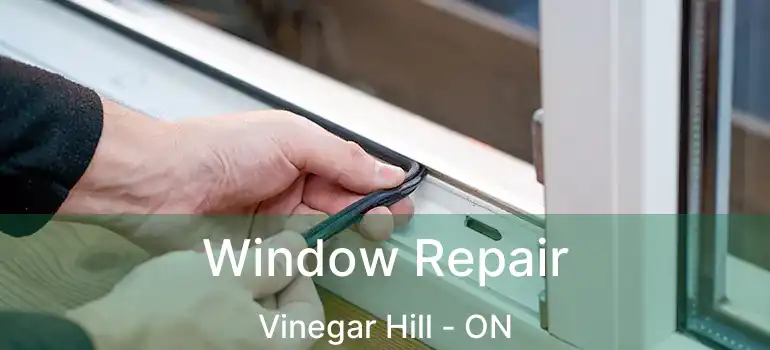  Window Repair Vinegar Hill - ON