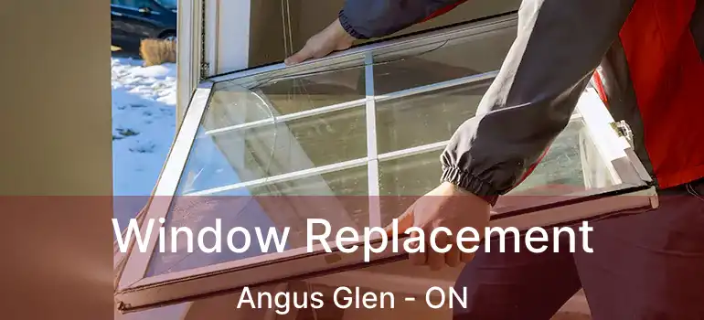 Window Replacement Angus Glen - ON