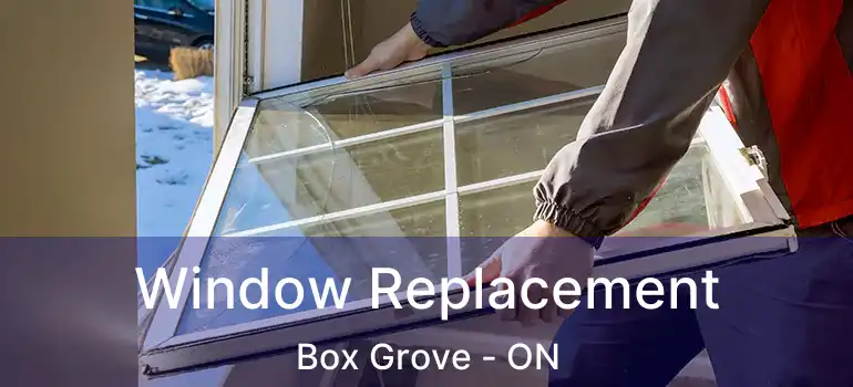 Window Replacement Box Grove - ON