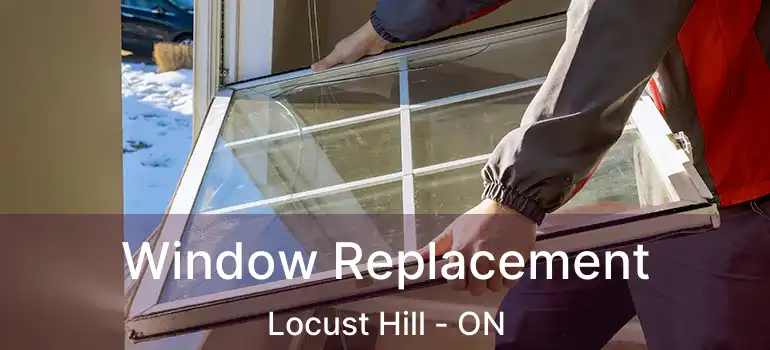  Window Replacement Locust Hill - ON