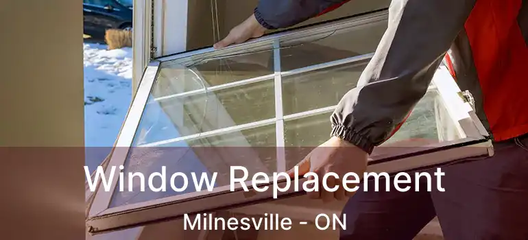  Window Replacement Milnesville - ON