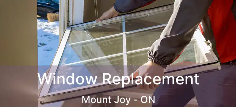  Window Replacement Mount Joy - ON