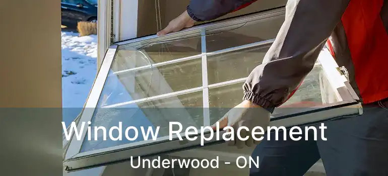  Window Replacement Underwood - ON