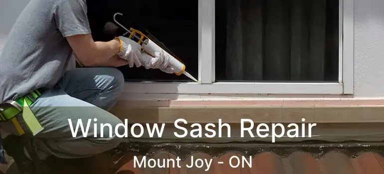  Window Sash Repair Mount Joy - ON