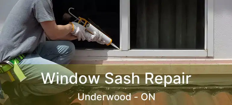  Window Sash Repair Underwood - ON