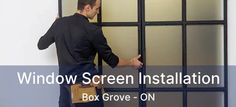  Window Screen Installation Box Grove - ON