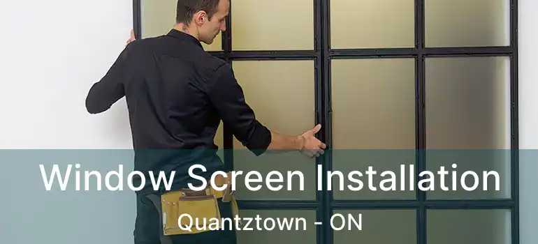  Window Screen Installation Quantztown - ON