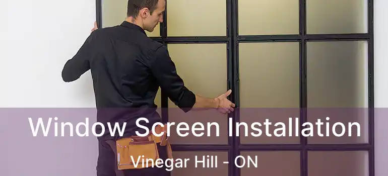  Window Screen Installation Vinegar Hill - ON