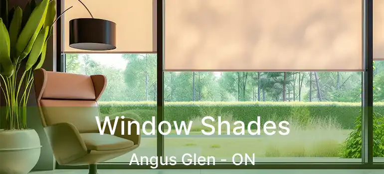  Window Shades Angus Glen - ON
