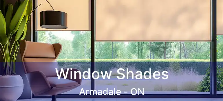  Window Shades Armadale - ON