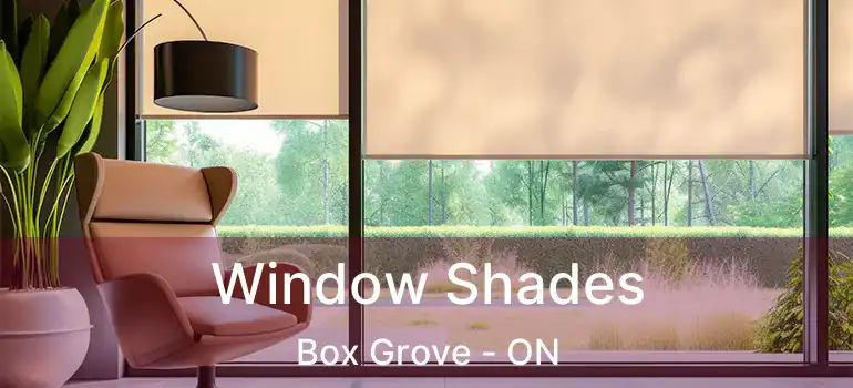  Window Shades Box Grove - ON