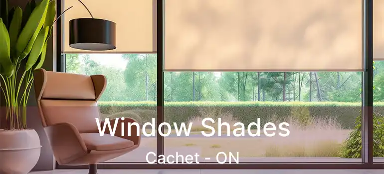  Window Shades Cachet - ON