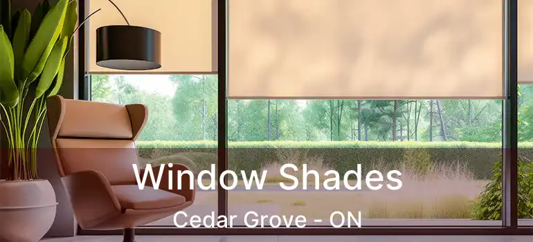  Window Shades Cedar Grove - ON