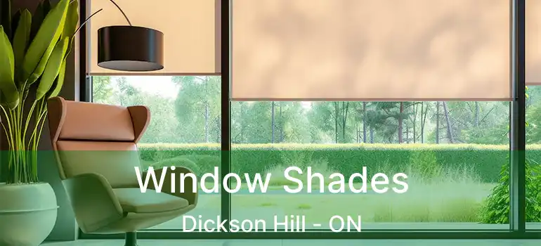  Window Shades Dickson Hill - ON