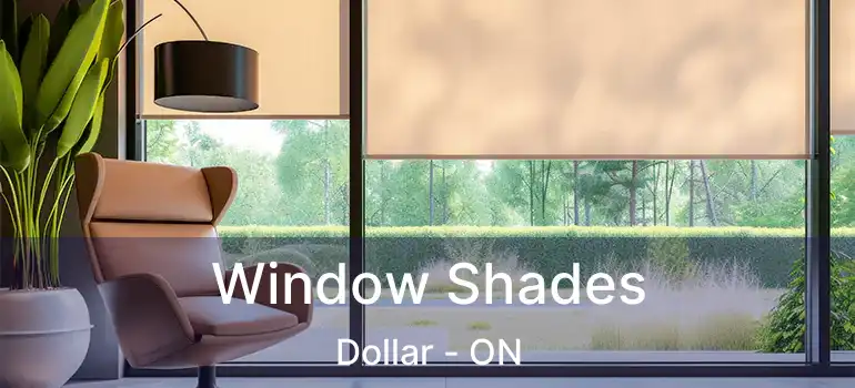  Window Shades Dollar - ON