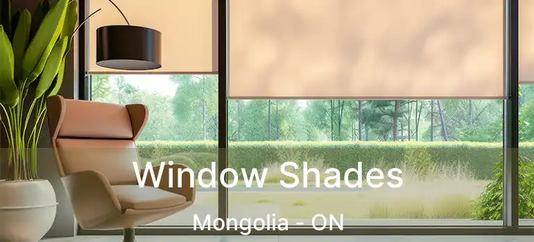  Window Shades Mongolia - ON